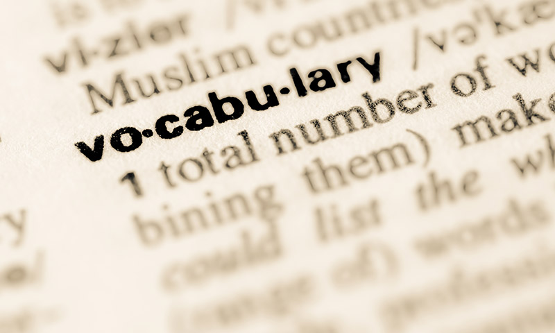 A close-up photo of a dictionary showing the word vocabulary and its definition