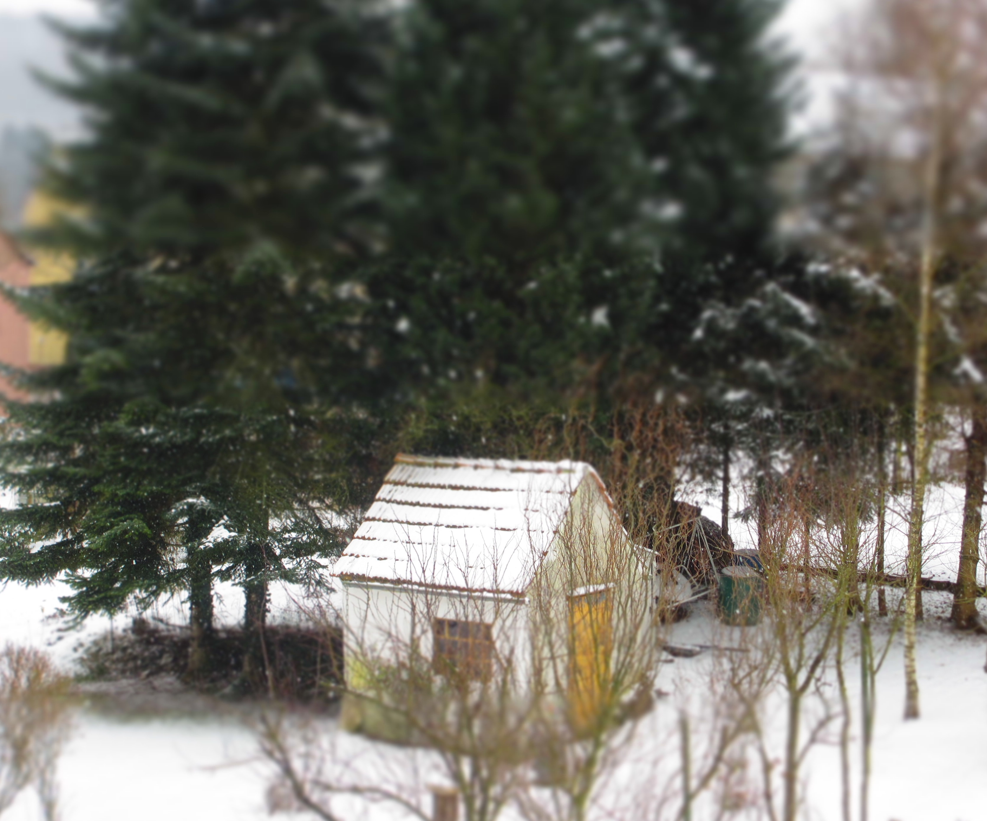 Schneelandschaft mit Tannen