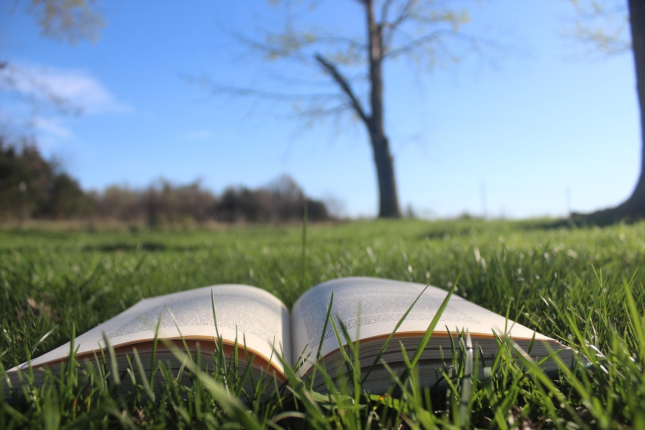 Aufgeschlagenes Buch liegt auf einer Wiese