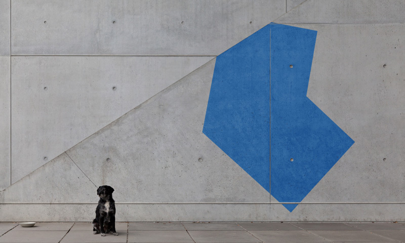 Hund, links unten im Bild, sitzt vor einer Betonwand auf der mit blauer Farbe ein Vieleck mit 7 Seiten gezeichnet ist