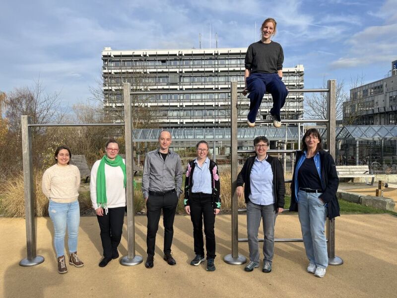 Projekt-november-2025