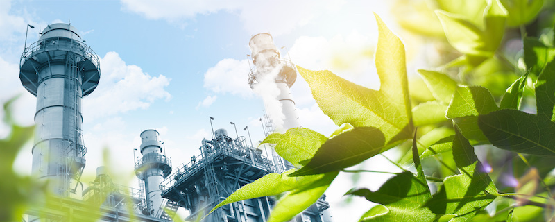 A factory seen through some green leaves