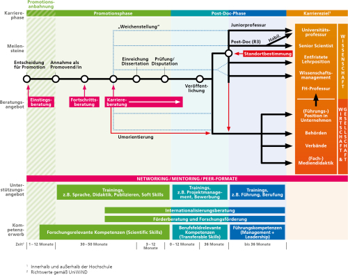 Die Grafik gibt einen schematischen Überblick über den idealen Verlauf einer wissenschaftlichen Qualifikationsphase und verzeichnet sinnvolle Zusatzqualifikationen wie Fortbildungen und Netzwerkbildung, und wann diese erworben werden sollten. 