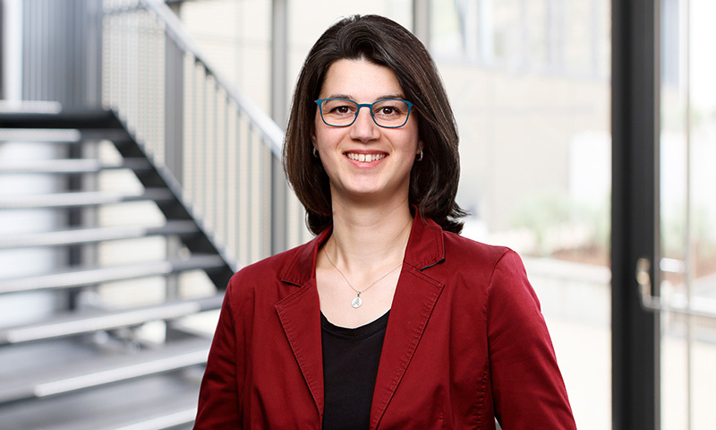 Dr. Alina Bockshecker