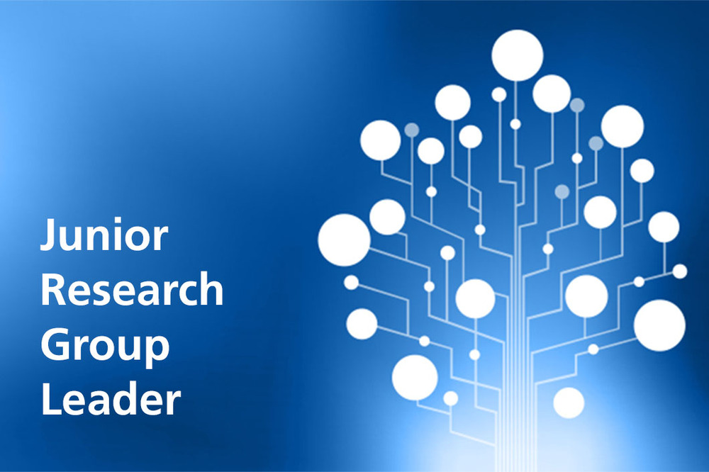 Text: Junior Research Group Leader
