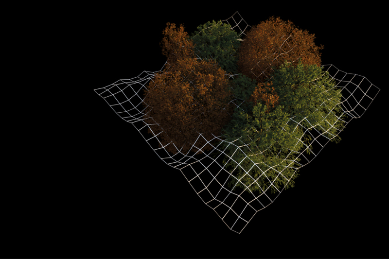 Newsletter Digitale W/Enden