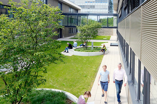 Campus, Aussengelände im Grünen