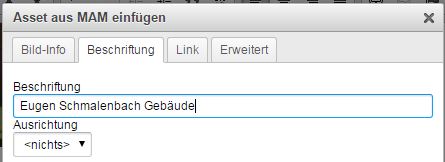 Asset Im Editor Beschriftung
