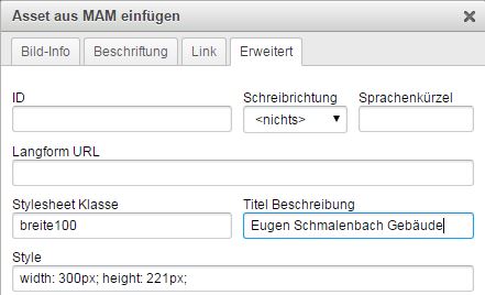 Asset Im Editor Erweitert