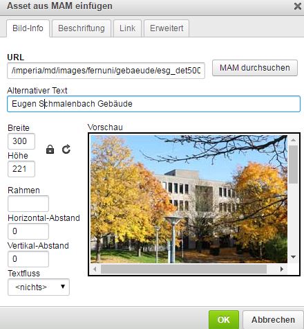 Asset im Editor Info