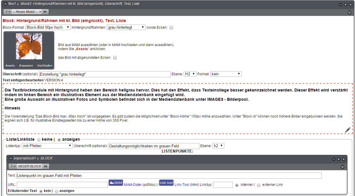 Beispiel für ausgefülltes Flexmodul: Block 2
