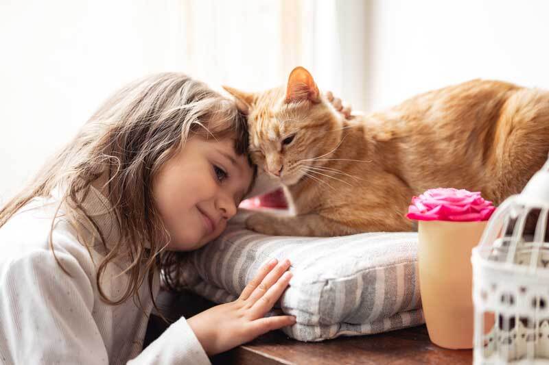 Ein kleines Mädchen schmiegt sich an eine rötlich-orange Katze.