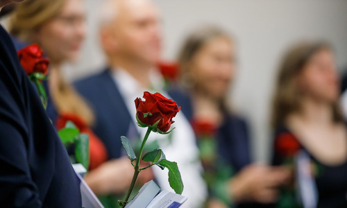 Eine Absolventin hält eine Rose in der Hand