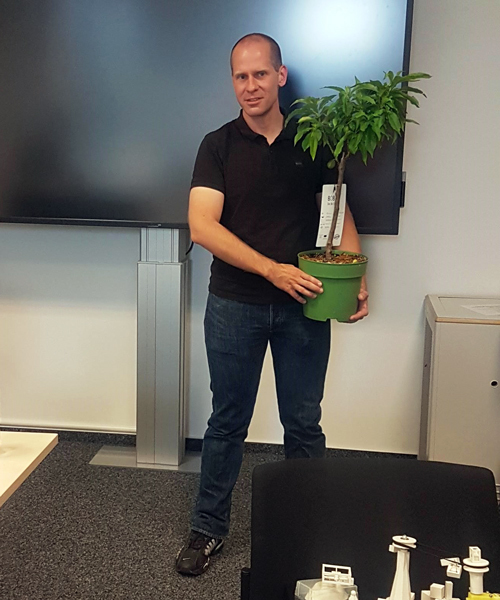 Ein Mann hält eine Topfpflanze in der Hand.