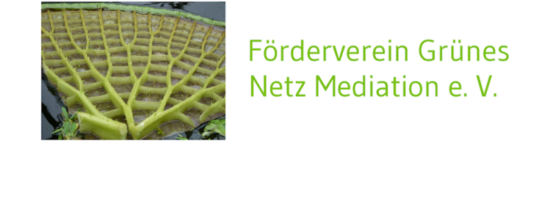 Gruenes-netz-mediation