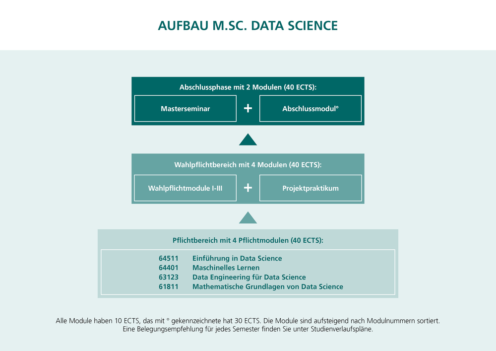 In der Grafik sehen Sie den Aufbau des Studiums. Die Grafik ist von unten nach oben zu lesen.