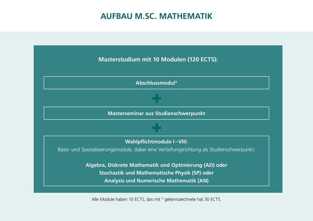 In der Grafik sehen Sie den Aufbau des Studiums.