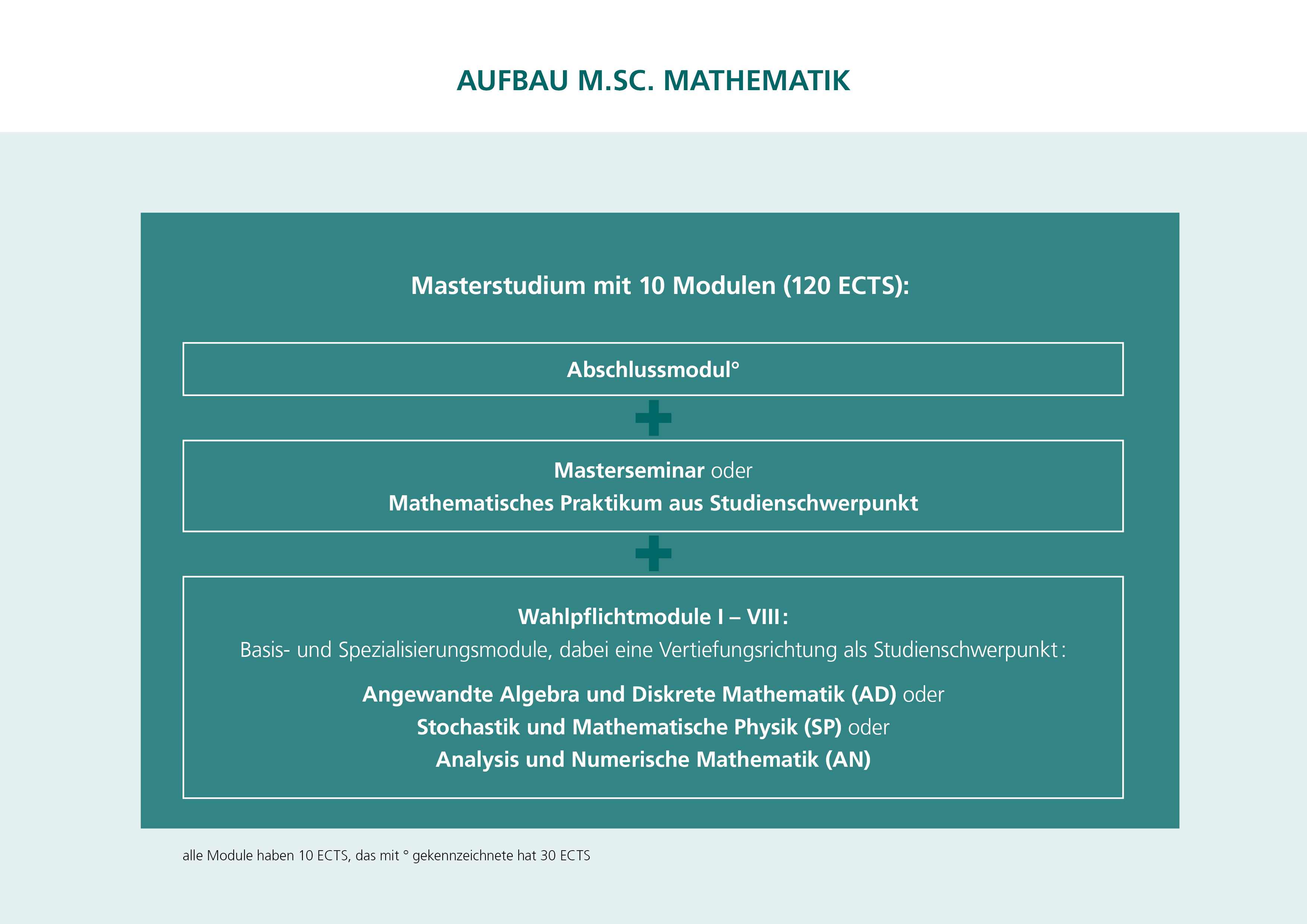 In der Grafik sehen Sie den Aufbau des Studiums.