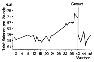 bsp1b.gif