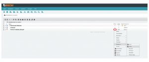 Screenshot Kontextmenü Datei in BSCW