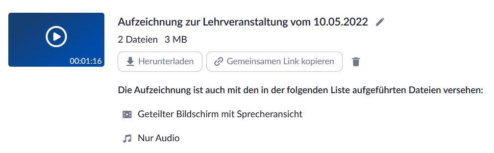 Screenshot von einer Aufzeichnung in der Zoom-Cloud