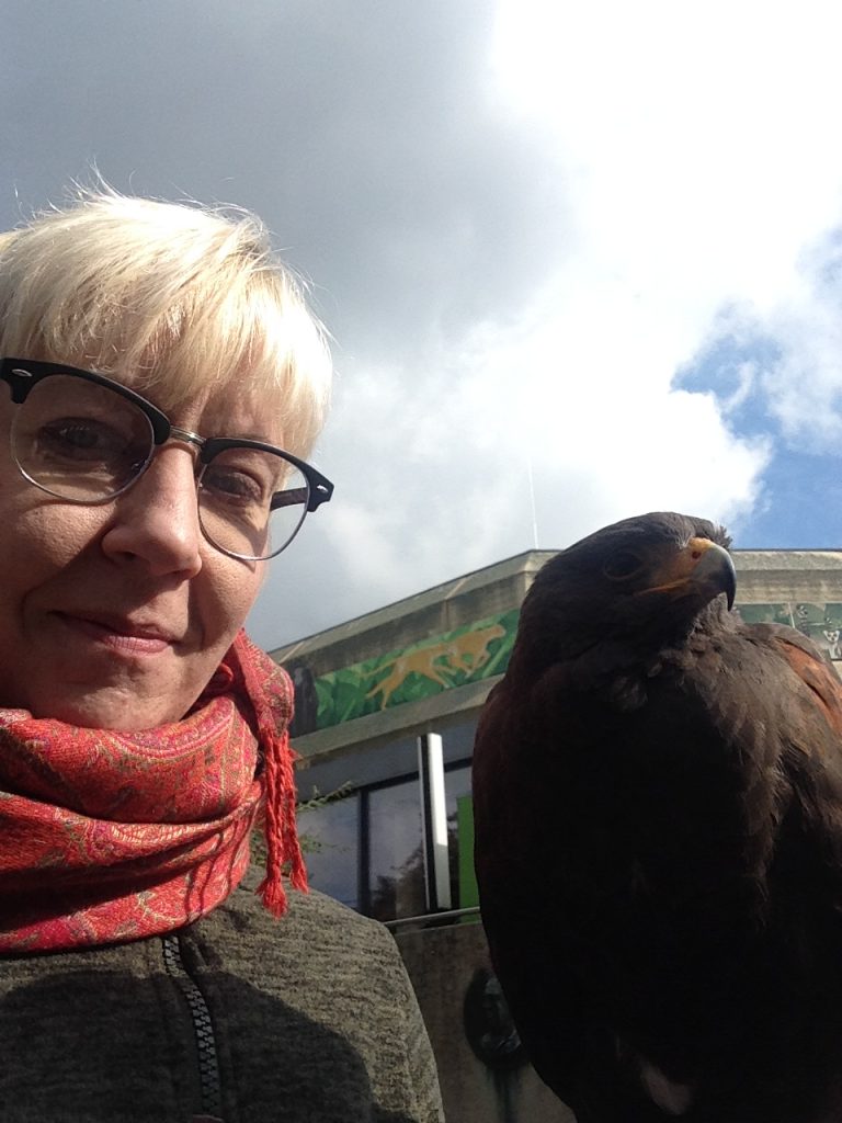 Portrait Angela Schröder mit "Jesse", einem Harris Hawk der in der tiergestützten Intervention eingesetzt wird