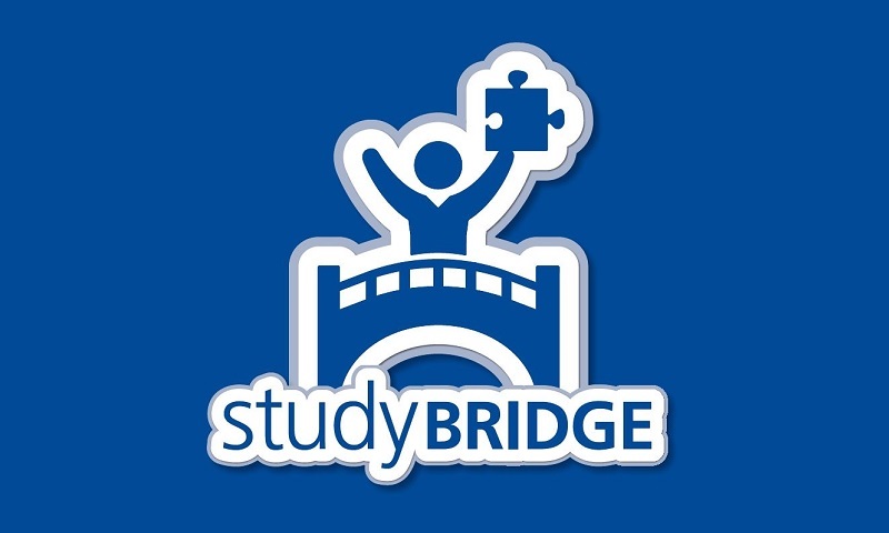 StudyBRIDGE Logo, Brücke auf der eine Person mit einem Puzzleteil steht