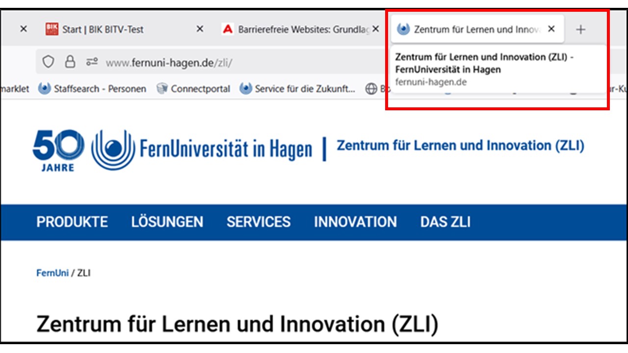 Screenshot Titel ZLI Webseite mit Markierung des Titels